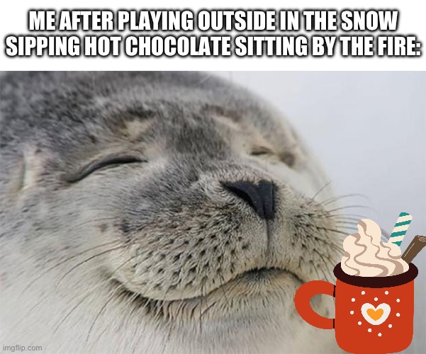 Satisfied Seal | ME AFTER PLAYING OUTSIDE IN THE SNOW SIPPING HOT CHOCOLATE SITTING BY THE FIRE: | image tagged in memes,satisfied seal | made w/ Imgflip meme maker