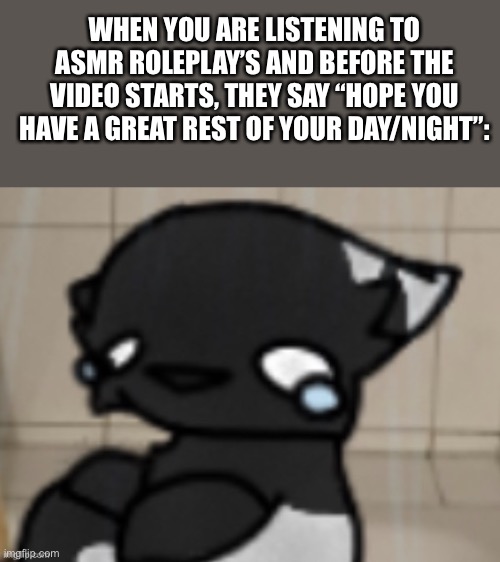 It legit makes me feel better- ;=; | WHEN YOU ARE LISTENING TO ASMR ROLEPLAY’S AND BEFORE THE VIDEO STARTS, THEY SAY “HOPE YOU HAVE A GREAT REST OF YOUR DAY/NIGHT”: | image tagged in crying darkio | made w/ Imgflip meme maker