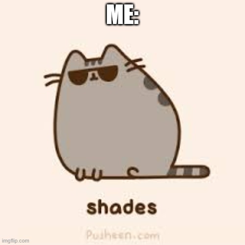 awesome pusheen | ME: | image tagged in awesome pusheen | made w/ Imgflip meme maker