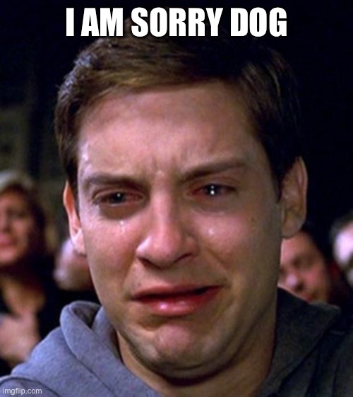 crying peter parker | I AM SORRY DOG | image tagged in crying peter parker | made w/ Imgflip meme maker
