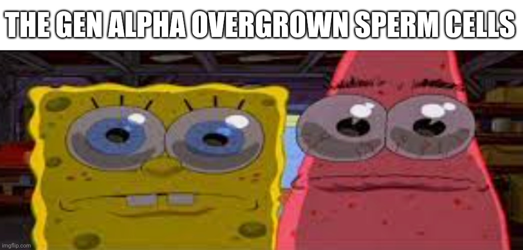 sobgih ans patbur | THE GEN ALPHA OVERGROWN SPERM CELLS | image tagged in sobgih ans patbur | made w/ Imgflip meme maker