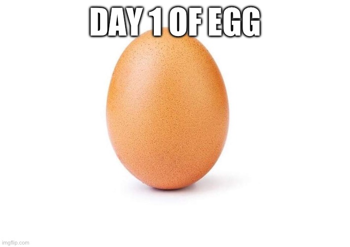 Egg | DAY 1 OF EGG | image tagged in eggbert,funny memes,memes,funny,viral | made w/ Imgflip meme maker