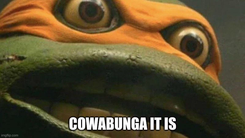 Cowabunga it is, but it's actually blank. | COWABUNGA IT IS | image tagged in cowabunga it is but it's actually blank | made w/ Imgflip meme maker
