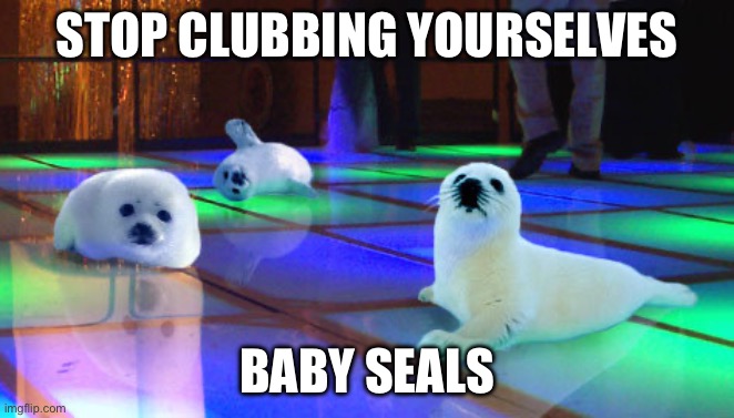 Baby seals: used in comment | STOP CLUBBING YOURSELVES BABY SEALS | image tagged in stop clubbing baby seals | made w/ Imgflip meme maker