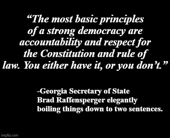 Concise and to the point.  Good show, Mr. Raffensperger.  Good show, indeed. | “The most basic principles of a strong democracy are accountability and respect for the Constitution and rule of law. You either have it, or you don’t.”; -Georgia Secretary of State Brad Raffensperger elegantly boiling things down to two sentences. | image tagged in smart,mic drop | made w/ Imgflip meme maker