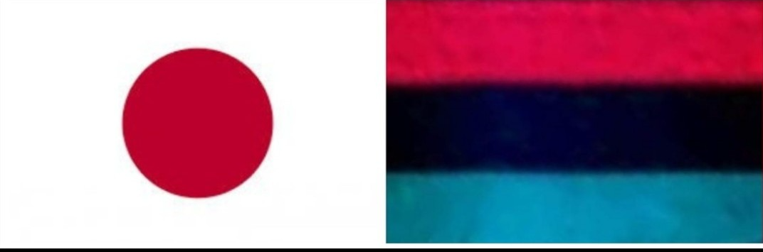 High Quality Japanese pan African flag Blank Meme Template