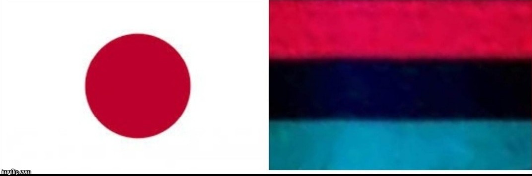 Japanese pan African flag | image tagged in japanese pan african flag,black privilege meme | made w/ Imgflip meme maker