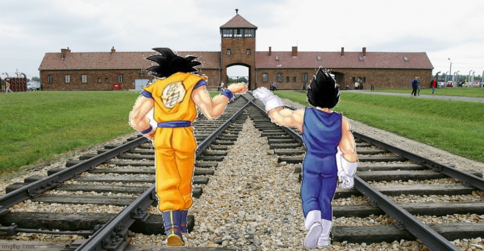 Which DBZ episode is this? | image tagged in auschwitz | made w/ Imgflip meme maker