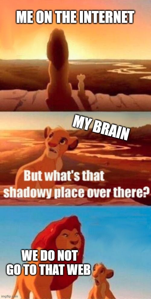Simba Shadowy Place | ME ON THE INTERNET; MY BRAIN; WE DO NOT GO TO THAT WEB | image tagged in memes,simba shadowy place | made w/ Imgflip meme maker