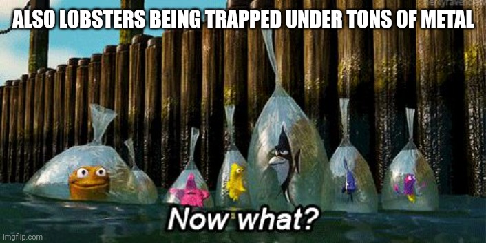 Now What? | ALSO LOBSTERS BEING TRAPPED UNDER TONS OF METAL | image tagged in now what | made w/ Imgflip meme maker