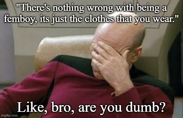 Stupid comment from a stupid user | "There's nothing wrong with being a femboy, its just the clothes that you wear."; Like, bro, are you dumb? | image tagged in memes,captain picard facepalm | made w/ Imgflip meme maker