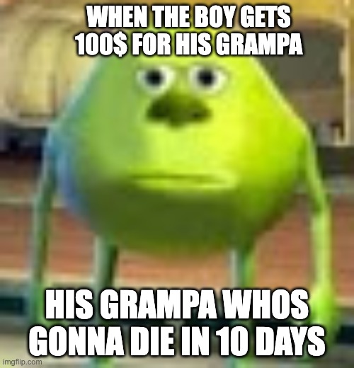 Sully Wazowski | WHEN THE BOY GETS 100$ FOR HIS GRAMPA; HIS GRAMPA WHOS GONNA DIE IN 10 DAYS | image tagged in sully wazowski | made w/ Imgflip meme maker