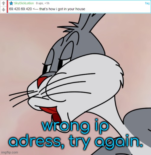 not my ip | wrong ip adress, try again. | image tagged in bugs bunny no | made w/ Imgflip meme maker