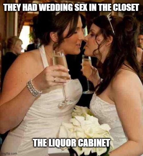 Liquor | THEY HAD WEDDING SEX IN THE CLOSET; THE LIQUOR CABINET | image tagged in lesbian wedding | made w/ Imgflip meme maker
