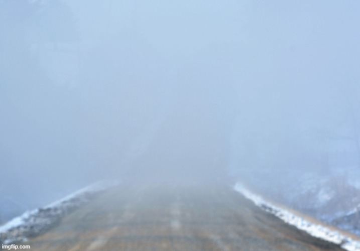 fog | image tagged in into the fog,fog | made w/ Imgflip meme maker