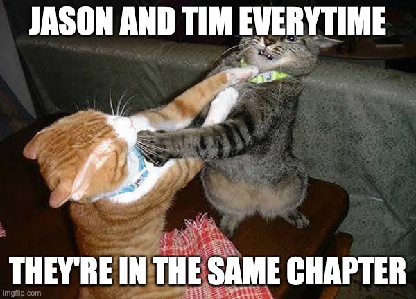 Two cats fighting for real | JASON AND TIM EVERYTIME; THEY'RE IN THE SAME CHAPTER | image tagged in two cats fighting for real | made w/ Imgflip meme maker