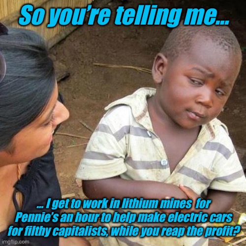 She looks like Kamala | So you’re telling me…; … I get to work in lithium mines  for Pennie’s an hour to help make electric cars for filthy capitalists, while you reap the profit? | image tagged in memes,third world skeptical kid | made w/ Imgflip meme maker