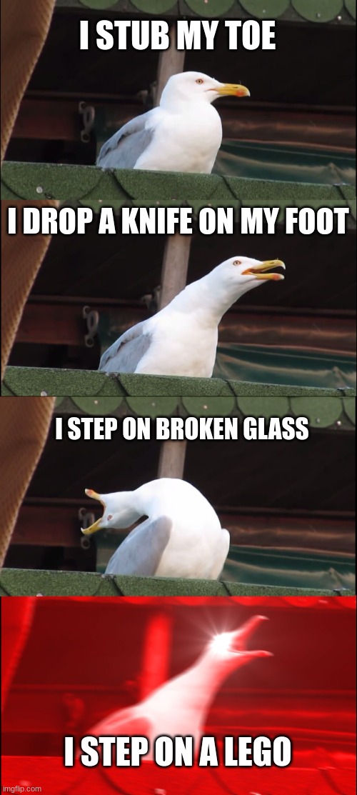 Happenend to me way too many times | I STUB MY TOE; I DROP A KNIFE ON MY FOOT; I STEP ON BROKEN GLASS; I STEP ON A LEGO | image tagged in memes,inhaling seagull,funny,meme | made w/ Imgflip meme maker