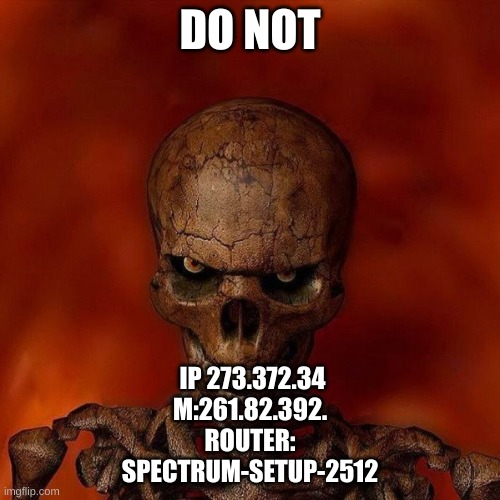 do not skeleton | DO NOT; IP 273.372.34
M:261.82.392.
ROUTER: SPECTRUM-SETUP-2512 | image tagged in do not skeleton | made w/ Imgflip meme maker