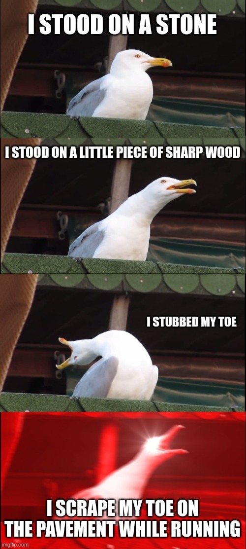 MY TOE | I STOOD ON A STONE; I STOOD ON A LITTLE PIECE OF SHARP WOOD; I STUBBED MY TOE; I SCRAPE MY TOE ON THE PAVEMENT WHILE RUNNING | image tagged in memes,inhaling seagull,funny,meme,funny memes,funny meme | made w/ Imgflip meme maker