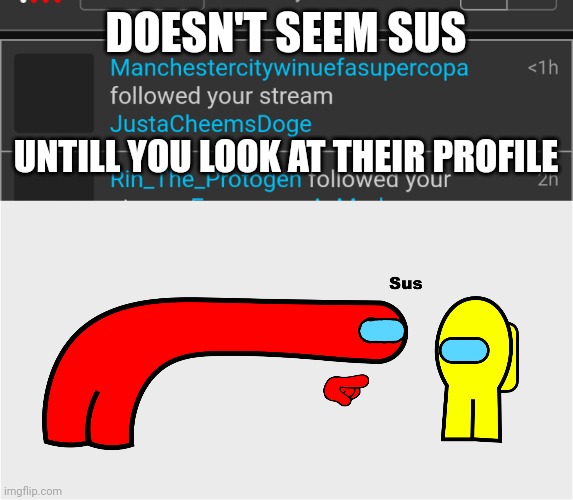 They have no points, and only follow this stream | DOESN'T SEEM SUS; UNTILL YOU LOOK AT THEIR PROFILE | image tagged in among us sus,i spot a turkey alt | made w/ Imgflip meme maker