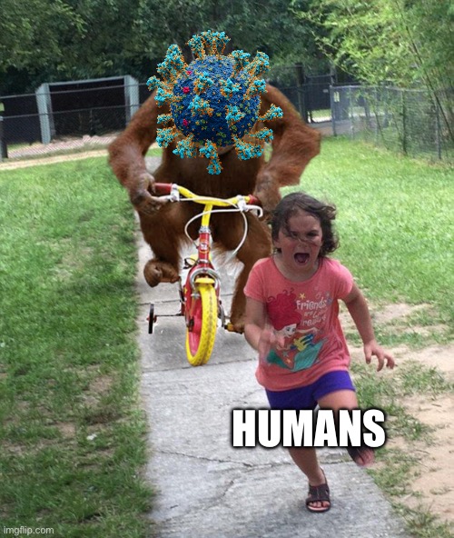 Corona virus! | HUMANS | image tagged in orangutan chasing girl on a tricycle | made w/ Imgflip meme maker