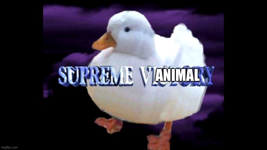 Supreme Victory Duck | ANIMAL | image tagged in supreme victory duck | made w/ Imgflip meme maker