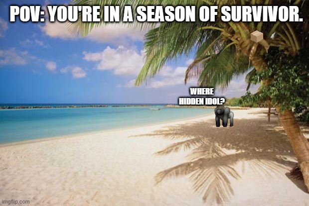 Survivor Meme | POV: YOU'RE IN A SEASON OF SURVIVOR. WHERE HIDDEN IDOL? | image tagged in island paradise | made w/ Imgflip meme maker