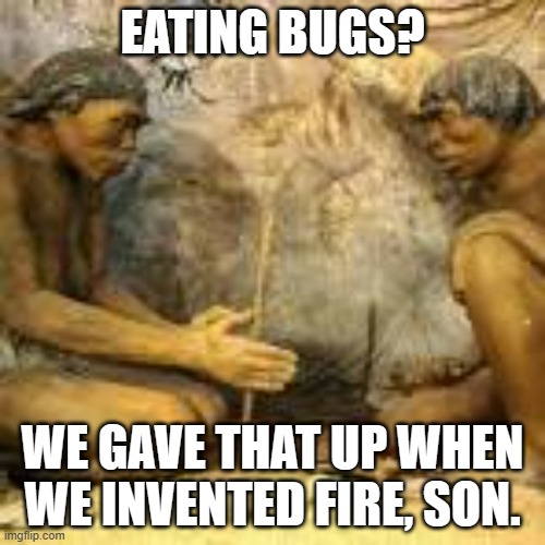 Now Bill Gates has been eating bugs since he was a little kid... | EATING BUGS? WE GAVE THAT UP WHEN WE INVENTED FIRE, SON. | image tagged in cavemen discovering fire | made w/ Imgflip meme maker