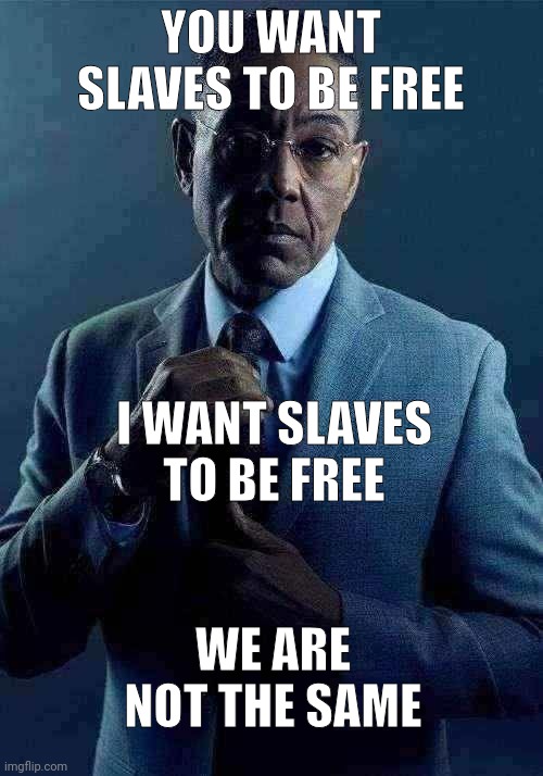 Gus Fring we are not the same | YOU WANT SLAVES TO BE FREE I WANT SLAVES TO BE FREE WE ARE NOT THE SAME | image tagged in gus fring we are not the same | made w/ Imgflip meme maker