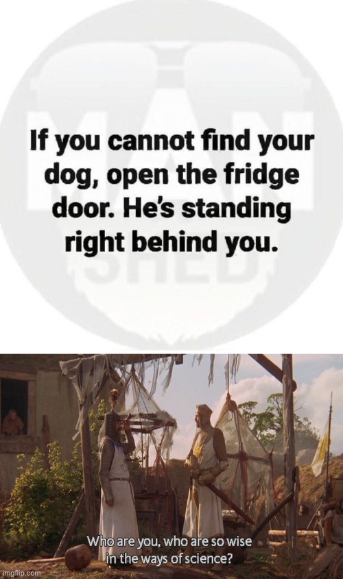 Canine garbage disposal unit | image tagged in who are you so wise in the ways of science,dog,food | made w/ Imgflip meme maker