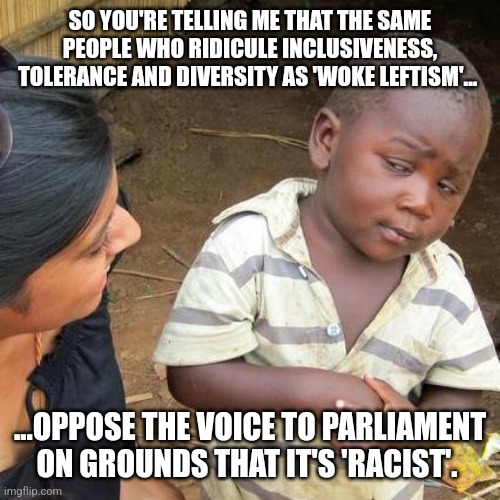 Voice to Parliament | SO YOU'RE TELLING ME THAT THE SAME PEOPLE WHO RIDICULE INCLUSIVENESS, TOLERANCE AND DIVERSITY AS 'WOKE LEFTISM'... ...OPPOSE THE VOICE TO PARLIAMENT ON GROUNDS THAT IT'S 'RACIST'. | image tagged in memes,third world skeptical kid,australia | made w/ Imgflip meme maker