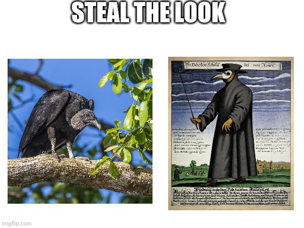 STEAL THE LOOK | made w/ Imgflip meme maker