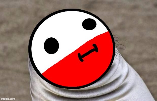 awkward moment polandball | image tagged in awkward moment polandball | made w/ Imgflip meme maker