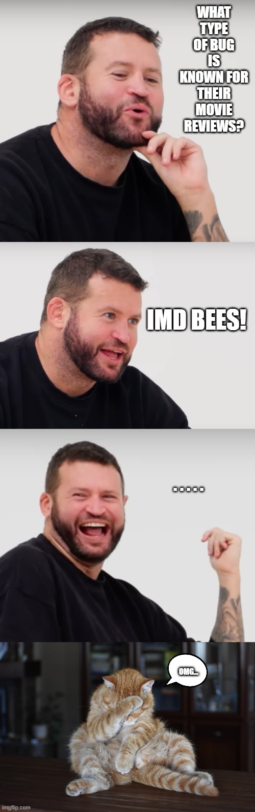 Dad Jokes | WHAT TYPE OF BUG IS KNOWN FOR THEIR MOVIE REVIEWS? IMD BEES! . . . . . OMG... | image tagged in dad joke meme | made w/ Imgflip meme maker