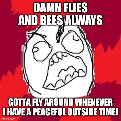 Bug Disturbance Meme | DAMN FLIES AND BEES ALWAYS; GOTTA FLY AROUND WHENEVER I HAVE A PEACEFUL OUTSIDE TIME! | image tagged in rage face,rage comics,flies,classic | made w/ Imgflip meme maker