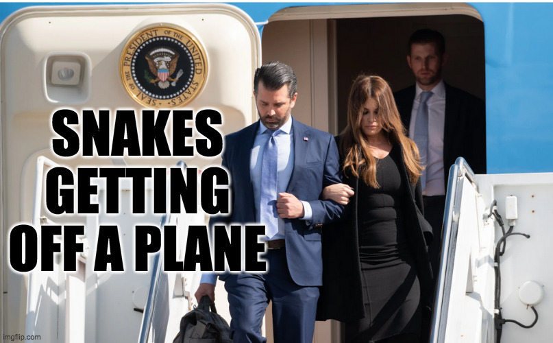 SNAKES GETTING OFF A PLANE | made w/ Imgflip meme maker