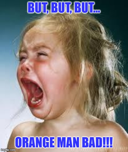 Crying Baby | BUT, BUT, BUT... ORANGE MAN BAD!!! | image tagged in crying baby | made w/ Imgflip meme maker