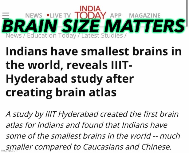 Brain size matters | BRAIN SIZE MATTERS | image tagged in brain size | made w/ Imgflip meme maker