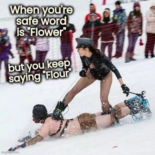 It will be fun , they said | When you're safe word is "Flower" but you keep saying "Flour" | image tagged in gimp snowboard,snowjoke,dominatrix,i don't want to play with you anymore,baby its cold outside | made w/ Imgflip meme maker