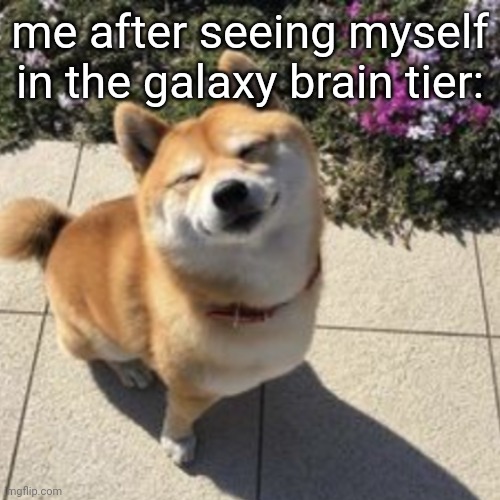 Happy Shober | me after seeing myself in the galaxy brain tier: | image tagged in happy shober | made w/ Imgflip meme maker