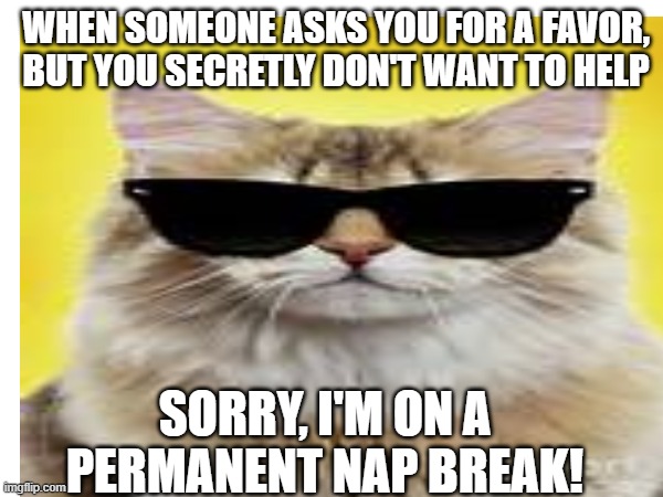 WHEN SOMEONE ASKS YOU FOR A FAVOR, BUT YOU SECRETLY DON'T WANT TO HELP; SORRY, I'M ON A PERMANENT NAP BREAK! | image tagged in grumpy cat | made w/ Imgflip meme maker