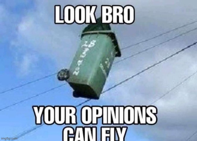 Look bro your opinions can fly | image tagged in look bro your opinions can fly | made w/ Imgflip meme maker