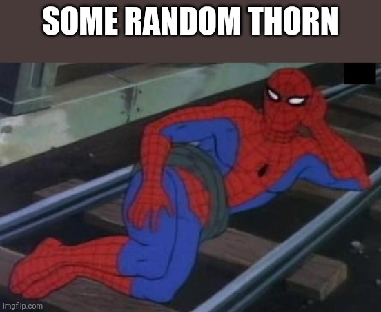 Sexy Railroad Spiderman Meme | SOME RANDOM THORN | image tagged in memes,sexy railroad spiderman,spiderman | made w/ Imgflip meme maker