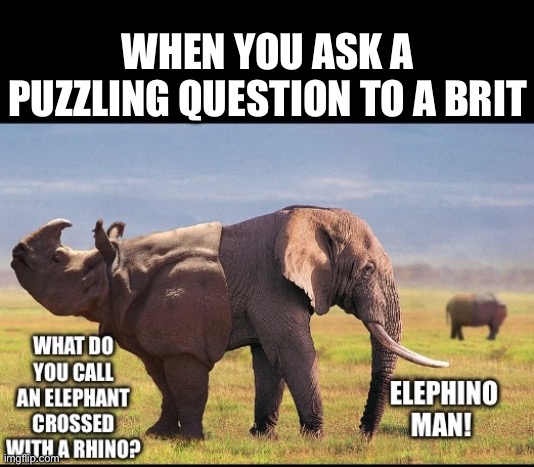 Proper puns | WHEN YOU ASK A PUZZLING QUESTION TO A BRIT | image tagged in puns,dad joke,british | made w/ Imgflip meme maker