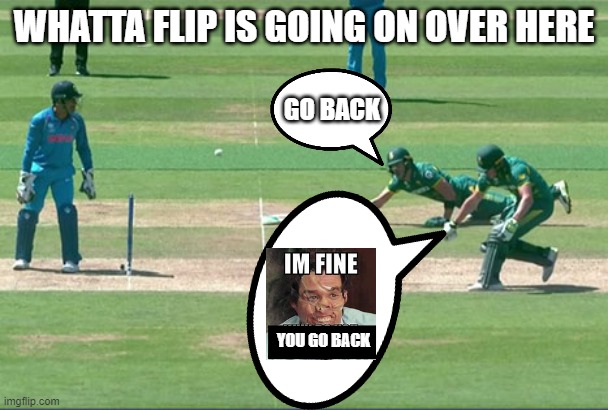 WHATTA FLIP | WHATTA FLIP IS GOING ON OVER HERE; GO BACK; YOU GO BACK | image tagged in cricket | made w/ Imgflip meme maker