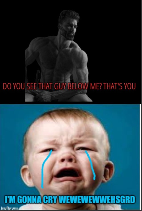 Smart and strong gigachad vs Dumb and weak crybaby | image tagged in smart and strong gigachad vs dumb and weak crybaby | made w/ Imgflip meme maker