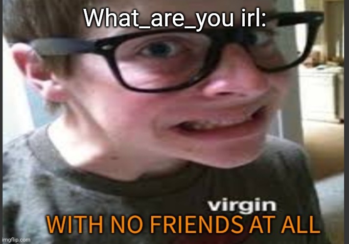A virgin with no actual friends at all | What_are_you irl: | image tagged in a virgin with no actual friends at all | made w/ Imgflip meme maker