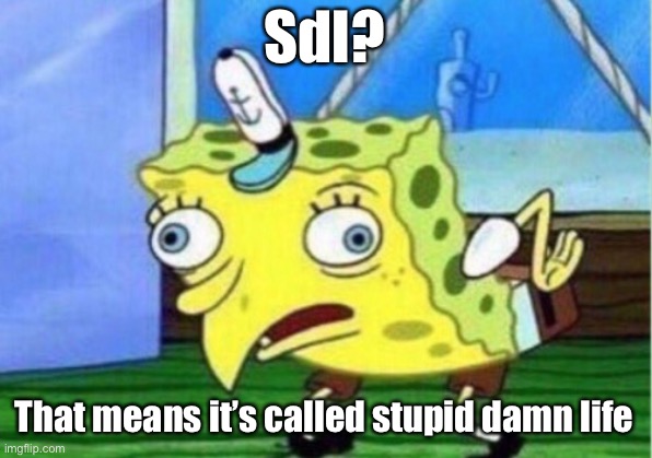 For Sky lol | Sdl? That means it’s called stupid damn life | image tagged in memes,mocking spongebob | made w/ Imgflip meme maker