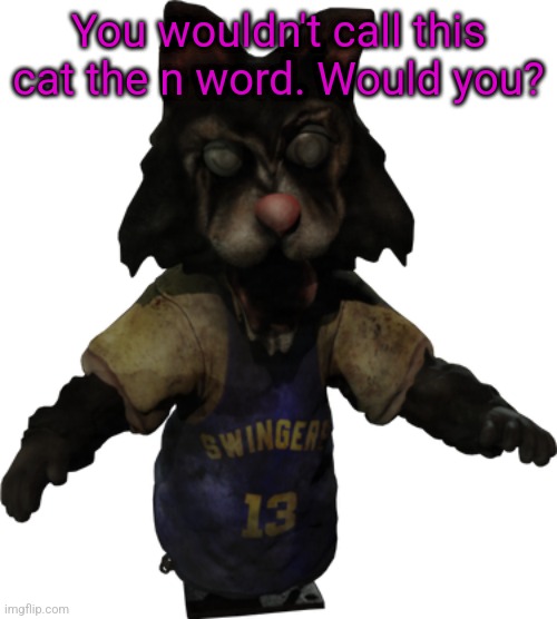 You wouldn't call this cat the n word. Would you? | made w/ Imgflip meme maker